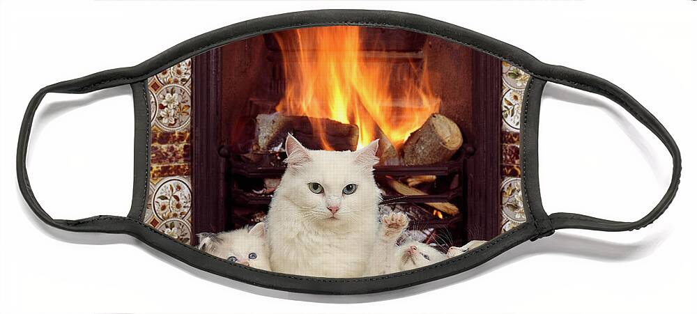 White Maine Coon Face Mask featuring the photograph Snuggle up with mother by the fire by Warren Photographic
