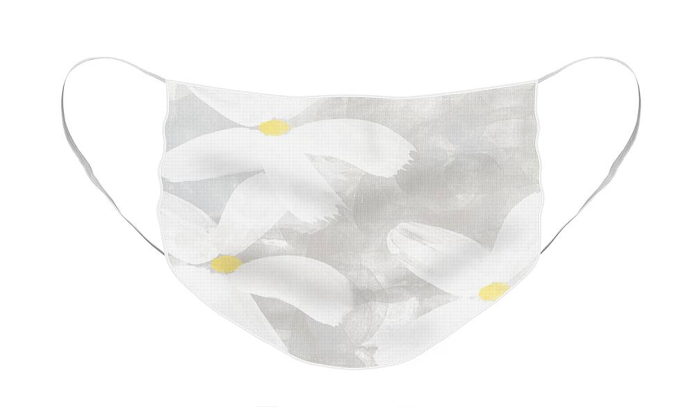 Flowers Face Mask featuring the painting Soft White Flowers by Linda Woods
