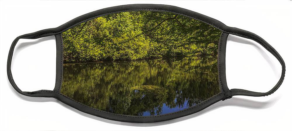 Pond Face Mask featuring the photograph Southern Still Waters by Dale Powell