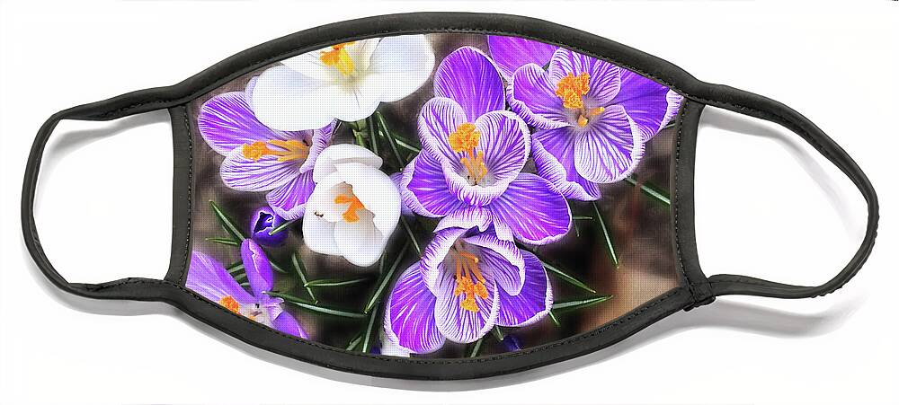 Crocus Face Mask featuring the photograph Spring Beauties by Terri Harper