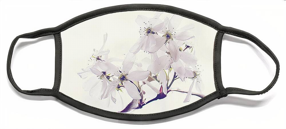 White Blossom Print Face Mask featuring the photograph Spring Blossom Print by Gwen Gibson