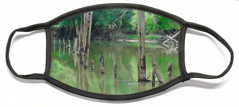 Creek Face Mask featuring the photograph Spring Creek by Carl Moore