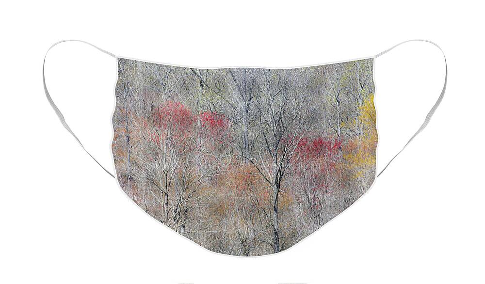 Abstract Art Face Mask featuring the photograph Spring Growth by Mary Buck