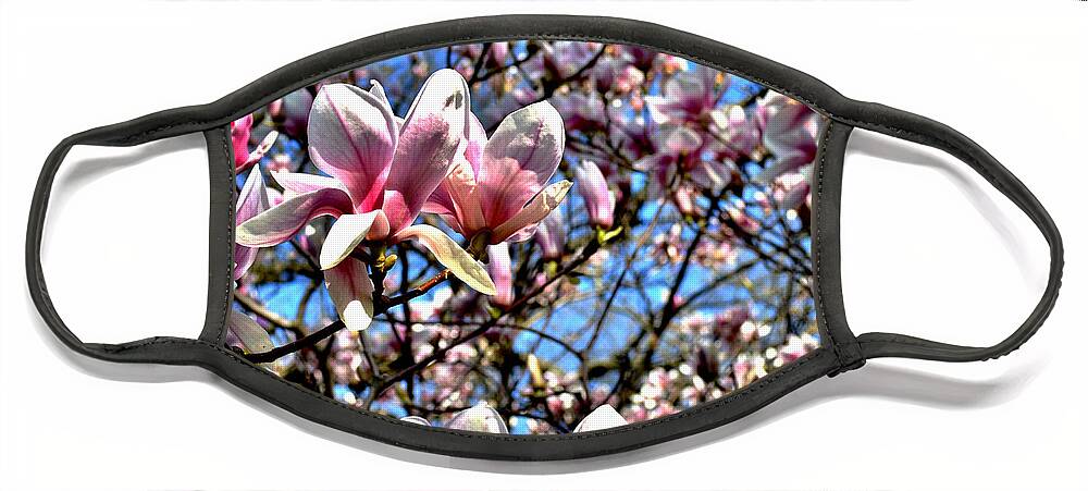 Magnolia Face Mask featuring the photograph Spring Magnolia by Susie Loechler