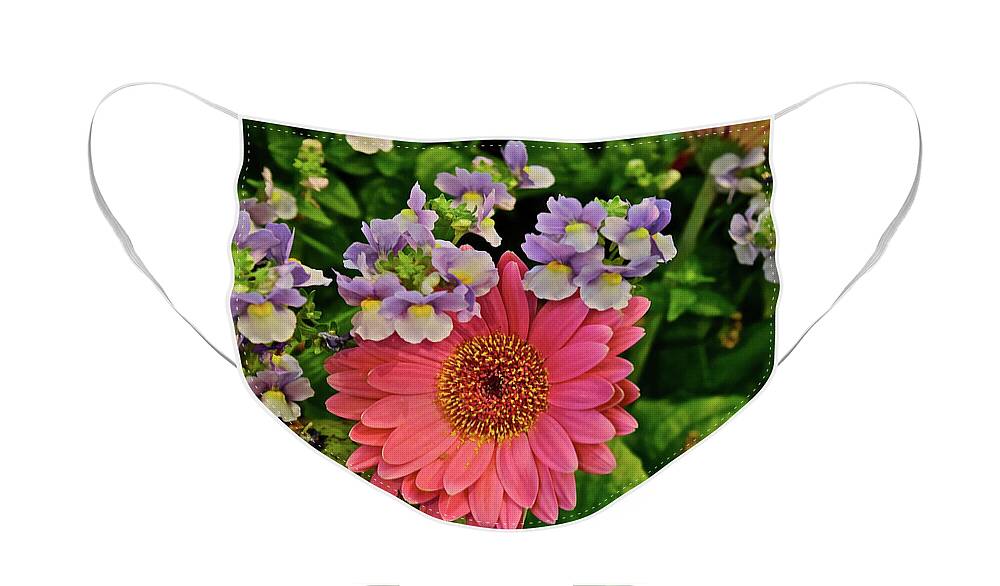 Gerbera Daisy Face Mask featuring the photograph Spring Show 18 Gerbera Daisy with Snapdragons by Janis Senungetuk