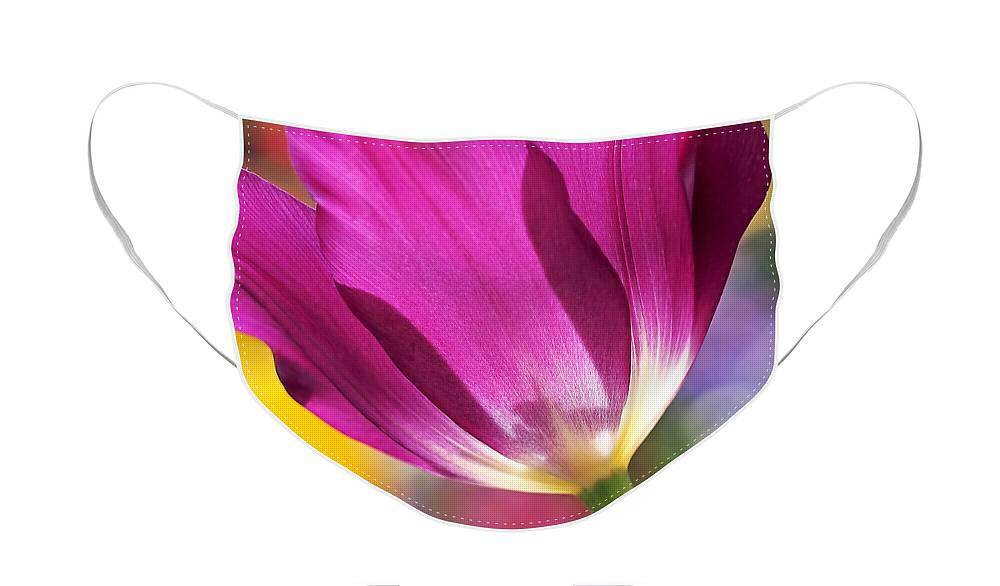 Flower Face Mask featuring the photograph Spring Tulip by Rona Black