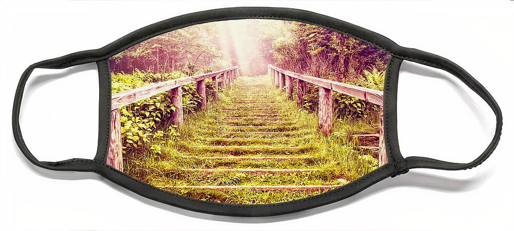 Appalachia Face Mask featuring the photograph Stairway to the Garden by Debra and Dave Vanderlaan