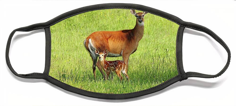 Deer Face Mask featuring the photograph Stand By Me by Debbie Oppermann