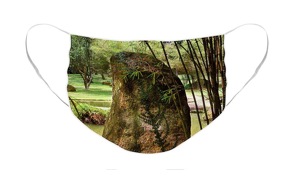 Standing Stone Face Mask featuring the photograph Standing Stone with Fern and Bamboo 19A by Gerry Gantt