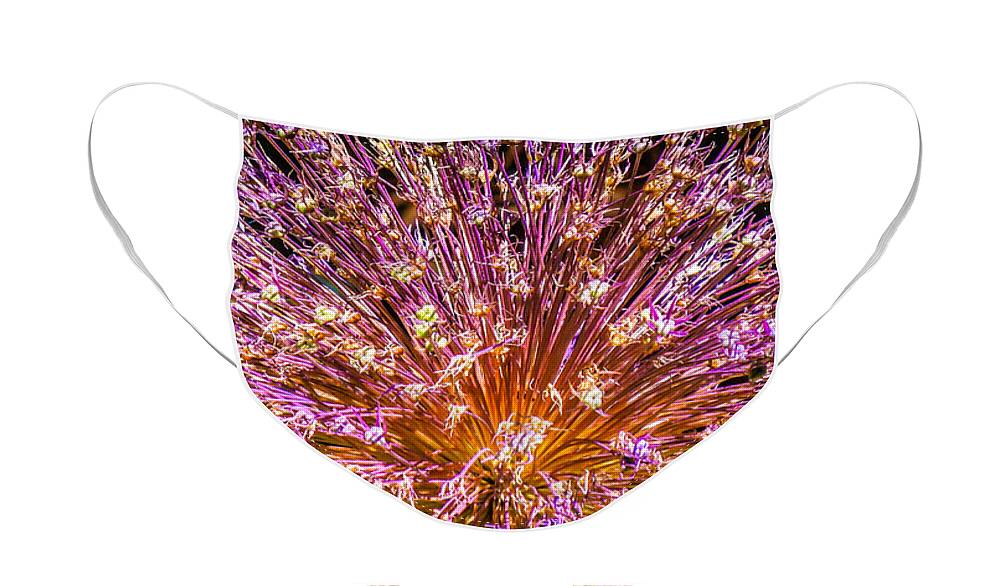 Abstract Face Mask featuring the photograph Starburst by Terry Ann Morris