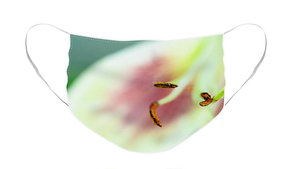 Wall Art Face Mask featuring the photograph Stargazer Lily by Marlo Horne