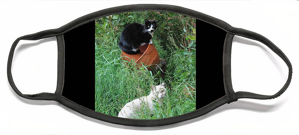 Cats Face Mask featuring the photograph Stash and Iris in the Grass by Sandra Dalton