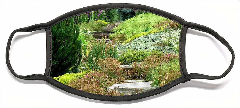 Steamboat Springs Face Mask featuring the photograph Steamboat Garden Path by Peggy Dietz
