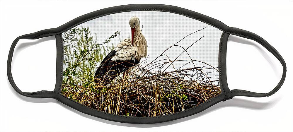 Europe Face Mask featuring the photograph Stork Nest by Richard Gehlbach