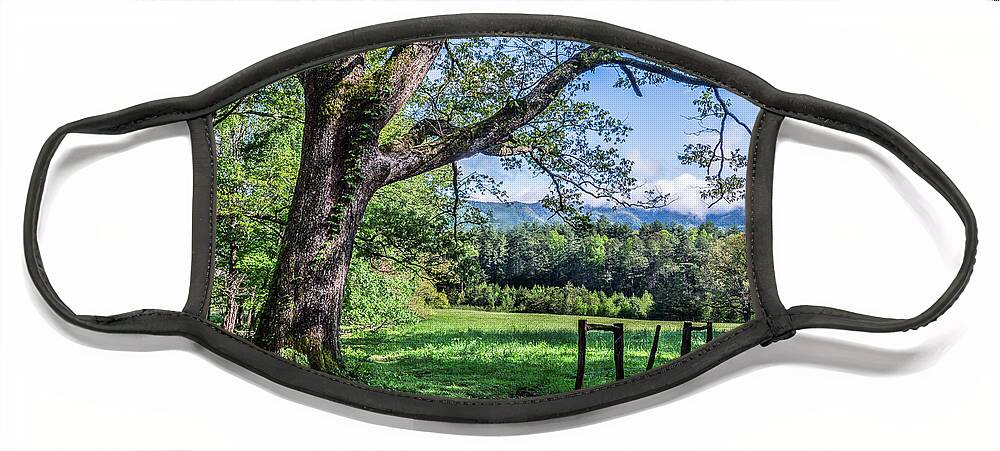 Blue Face Mask featuring the photograph Story in the Smokies by Jon Glaser