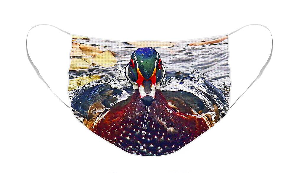 Jean Noren Face Mask featuring the photograph Straight Ahead Wood Duck by Jean Noren