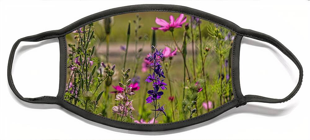 Flowers Face Mask featuring the photograph Summer Garden by Alana Thrower