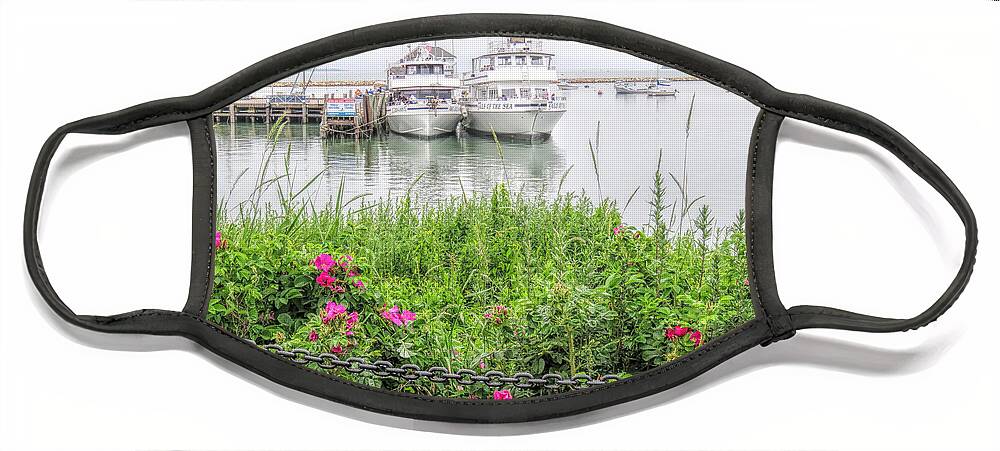 Janice Drew Face Mask featuring the photograph Summer on Plymouth Harbor by Janice Drew