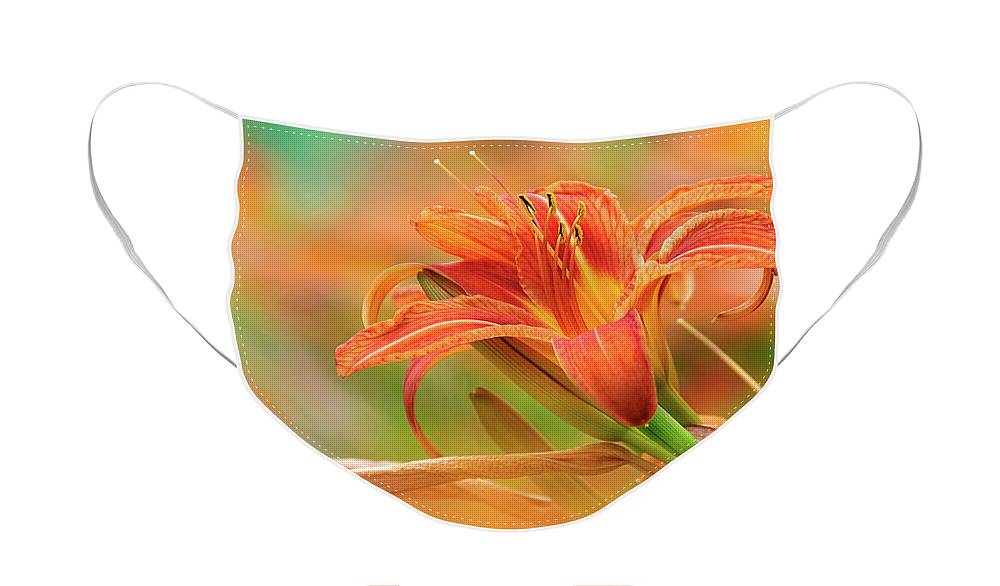 Flowers Face Mask featuring the photograph Summer Palette by Neil Shapiro