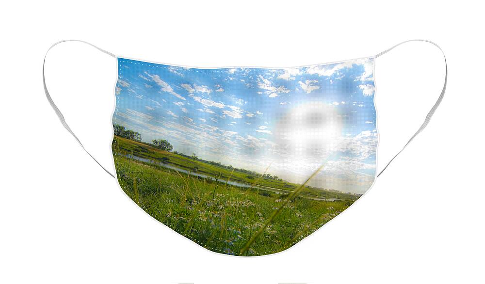 Weeds Face Mask featuring the photograph Sun is always Up by Jana Rosenkranz