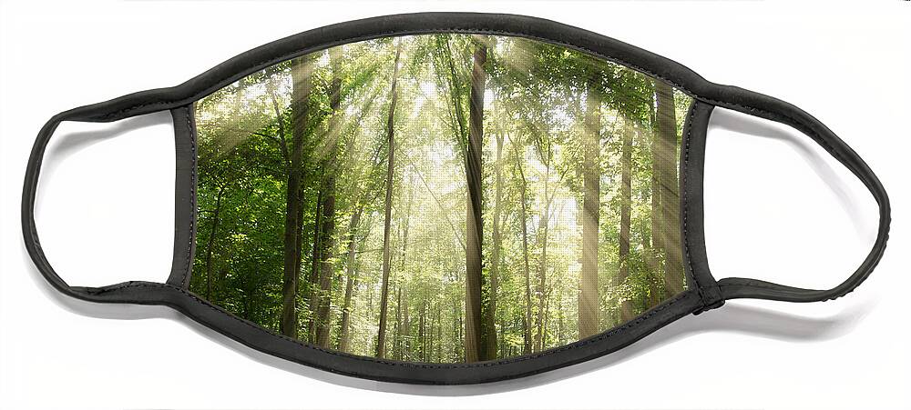 Sun Face Mask featuring the photograph Sun Rays Through Treetops Rural Landscape by PIPA Fine Art - Simply Solid
