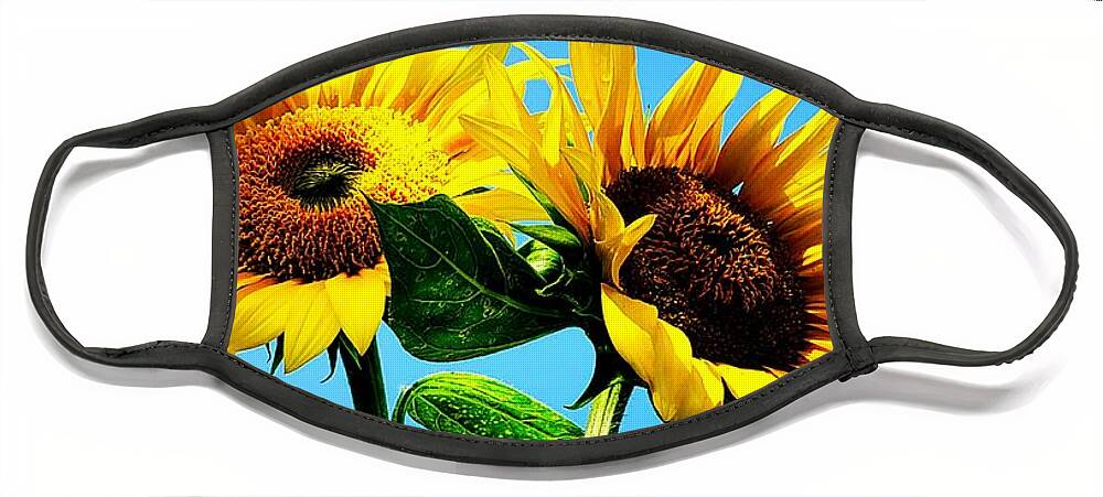 Floral Face Mask featuring the photograph Sunflower Duo by Alexis King-Glandon