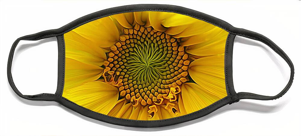 Sunflower Macro Face Mask featuring the photograph Sunflower Macro Expressionist Effect by Rose Santuci-Sofranko