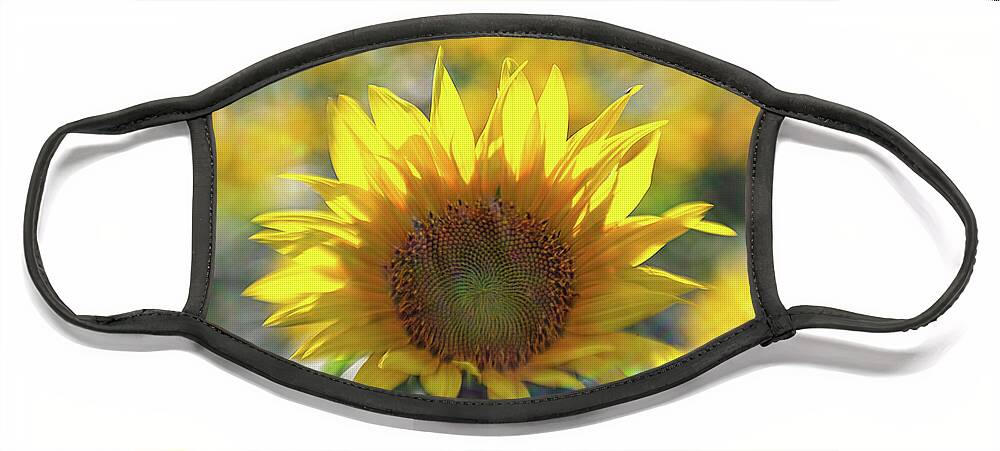 Flower Face Mask featuring the photograph Sunflower with Lens Flare by Natalie Rotman Cote