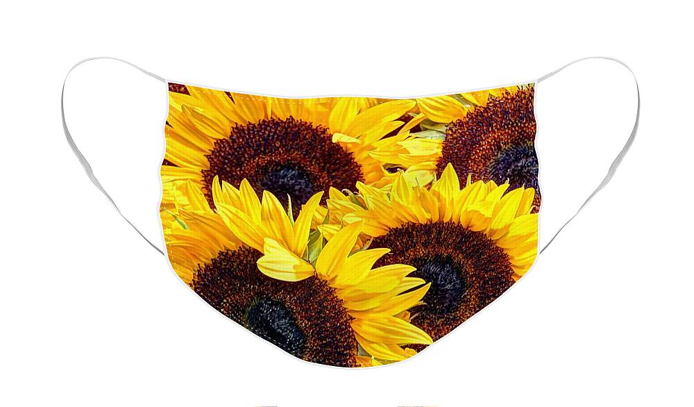 Flowers Face Mask featuring the photograph Sunflowers for sale by Karen Smale