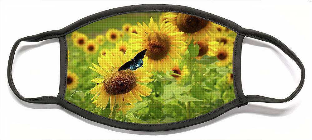 Sunflowers Face Mask featuring the photograph Sunflowers in Memphis by Veronica Batterson