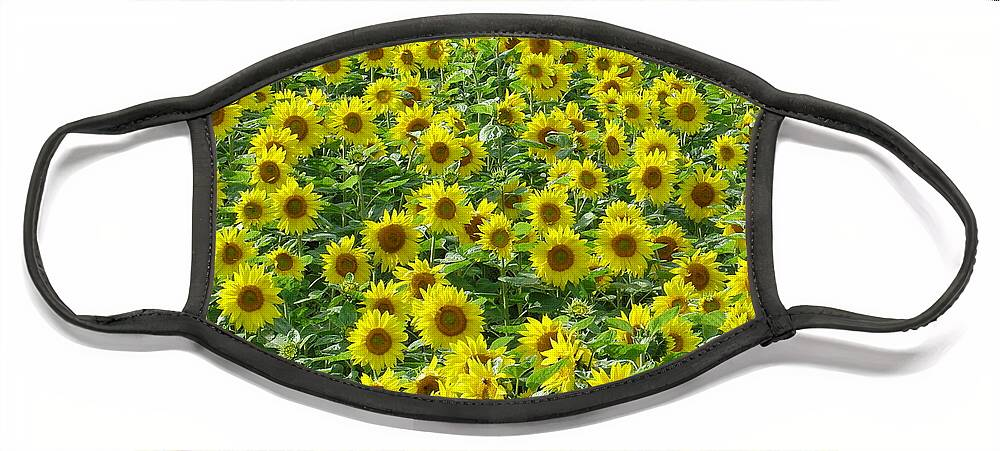 Europe Face Mask featuring the photograph Sunflowers by Rod Johnson