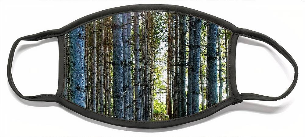Sunlight Face Mask featuring the photograph Sunlight Through the Forest Trees by Vic Ritchey