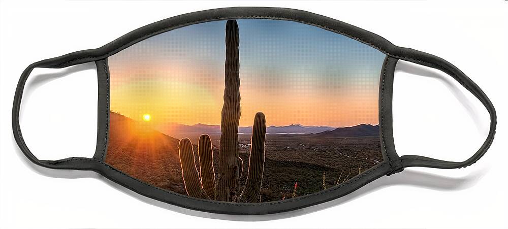 Arid Face Mask featuring the photograph Sunlit Cactus by Maria Coulson