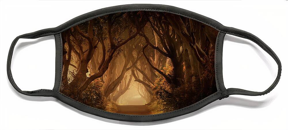 Dark Hedges In Northern Ireland Face Mask featuring the photograph Sunny morning in Dark Hedges by Jaroslaw Blaminsky