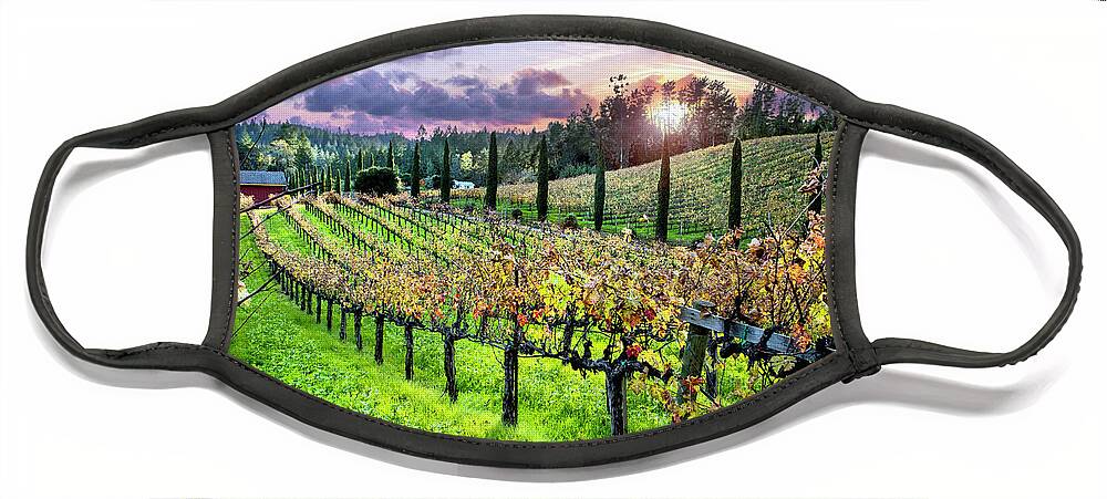 Napa Face Mask featuring the photograph Sunset at the Palmers by Jon Neidert