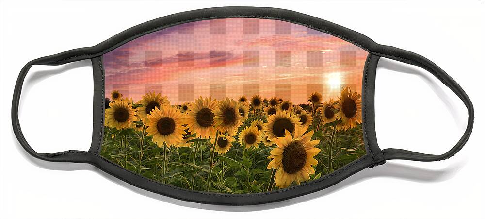 Sunflowers Face Mask featuring the photograph Sunset Choir by Kim Carpentier