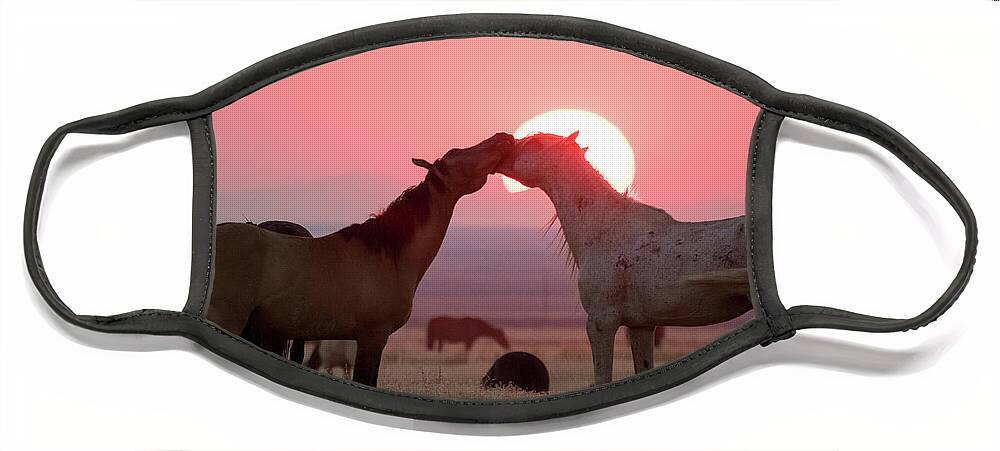 Wild Horses Face Mask featuring the photograph Sunset Horses by Wesley Aston
