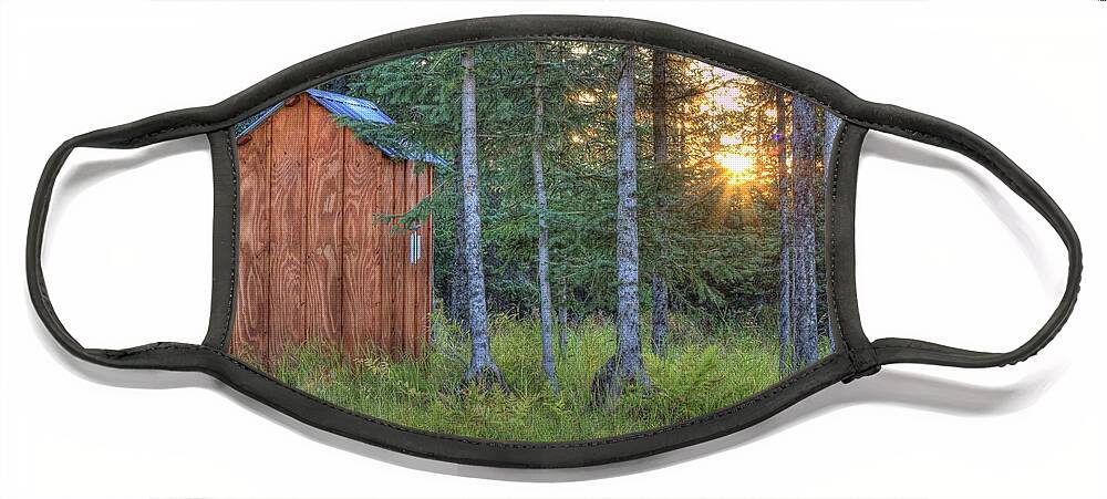Sunset Face Mask featuring the photograph Sunset Through Spruce by Michele Cornelius