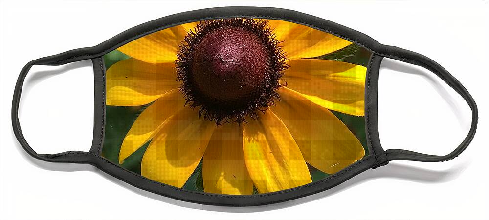 Sunflower Face Mask featuring the photograph Sunshine by Pamela Henry
