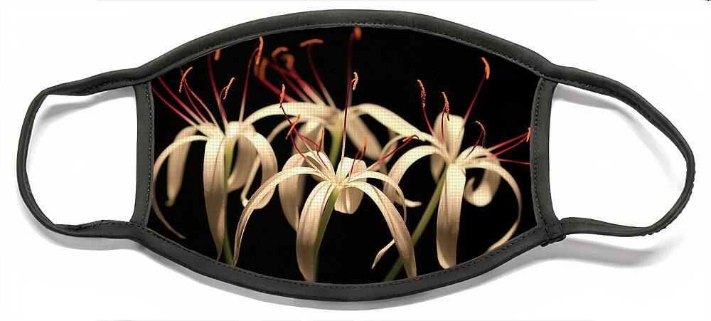 Swamp Lily Face Mask featuring the photograph Swamp Lily by Meg Rousher