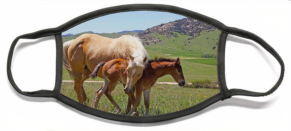 Wyoming Face Mask featuring the photograph Sweet Comfort by Amanda Smith