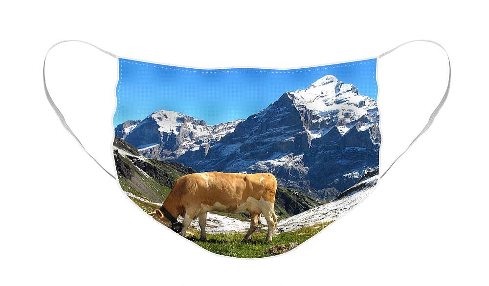 Switzerland Face Mask featuring the photograph Swiss Scene by Mary Ellen Mueller Legault