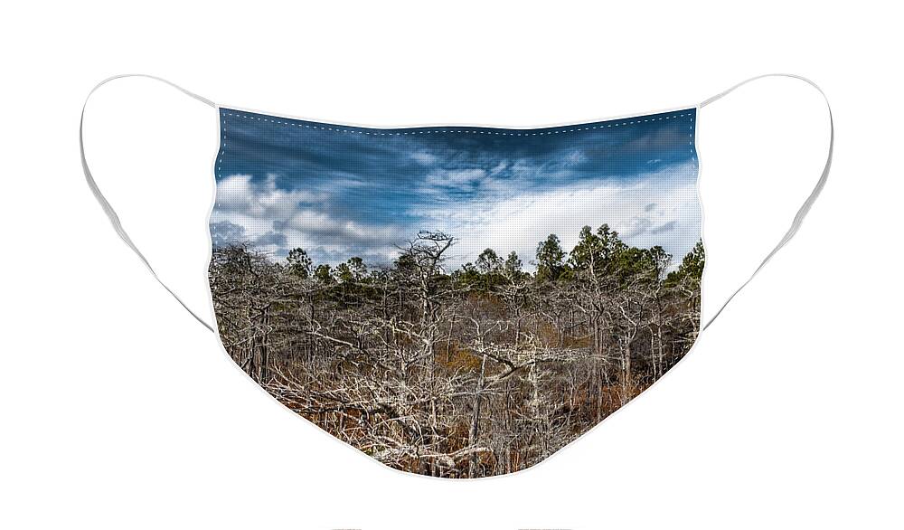 Landscapre Face Mask featuring the photograph Tate's Hell State Forest by Richard Leighton