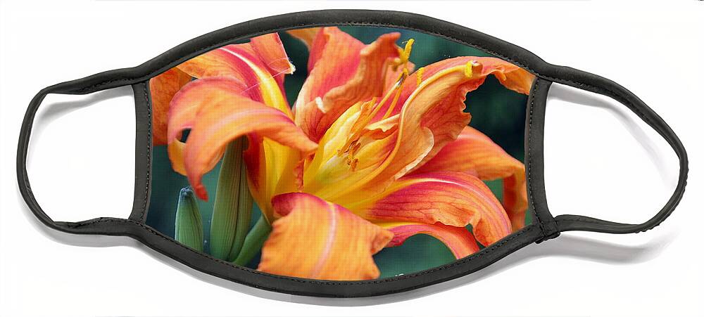 Hemerocallis Hybrid Face Mask featuring the photograph Tequilla Sunrise Daylilly by Valerie Collins