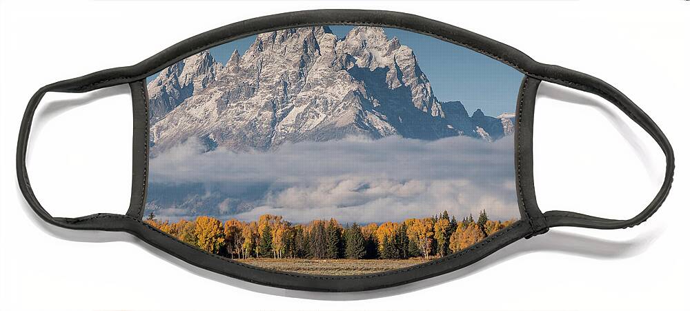 Horses Face Mask featuring the photograph Teton Horses by Wesley Aston