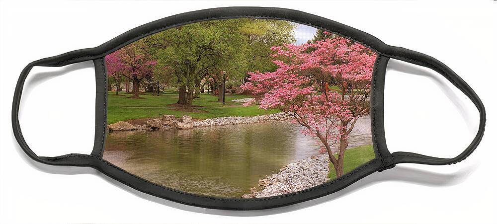 Spring Face Mask featuring the photograph The Beauty of Spring by Angie Tirado