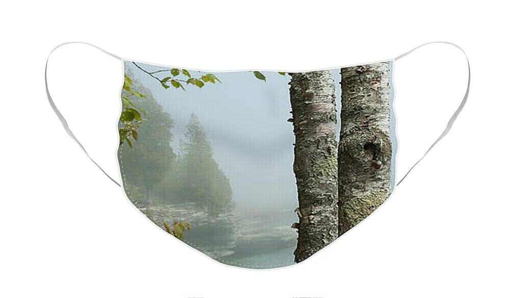 Beauty In Nature Face Mask featuring the photograph The Birch at Cave Point by Rod Melotte