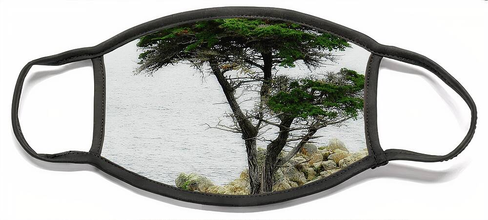 Monterey Face Mask featuring the photograph The Cypress by Donna Blackhall