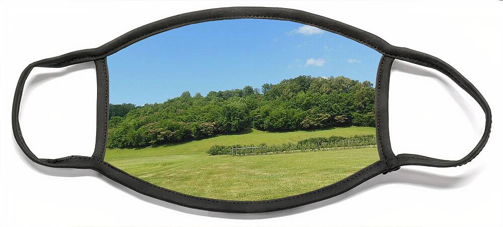 Field Face Mask featuring the photograph The Grass is Always Greener by Ali Baucom