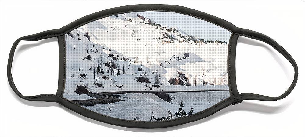 Alaska Face Mask featuring the photograph Alaska train from Anchorage by Charles McCleanon